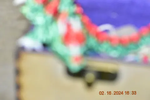 DSC0206