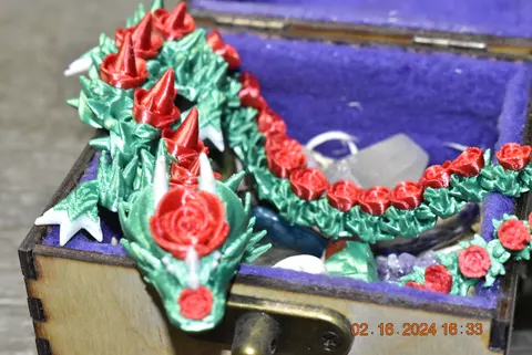 DSC0207