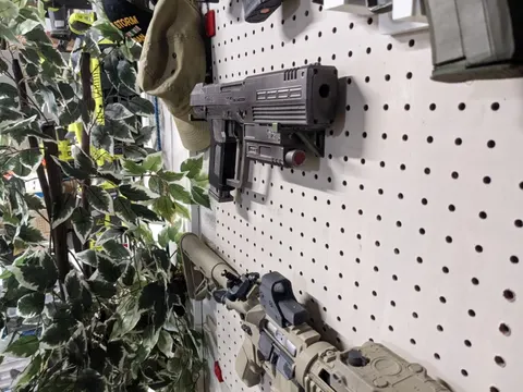 Halo Magnum Mounted 2
